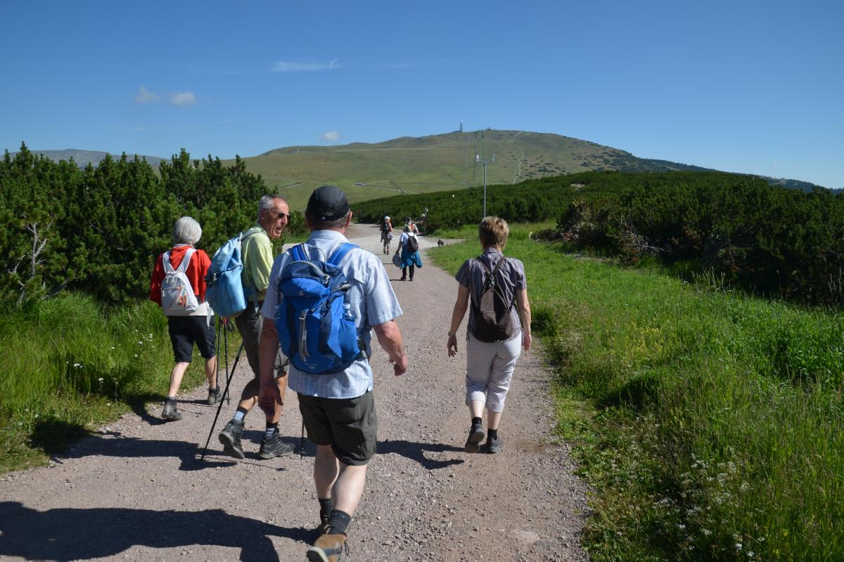 Latschenoelbrennerei und Platzer Alm 23.07.2019